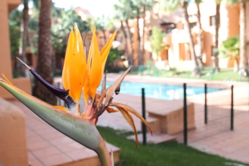 Casa Hermana Los Alcázares Esterno foto